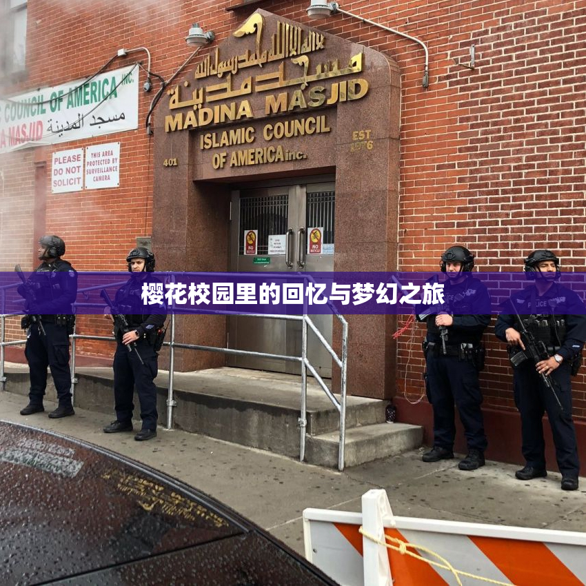 樱花校园里的回忆与梦幻之旅