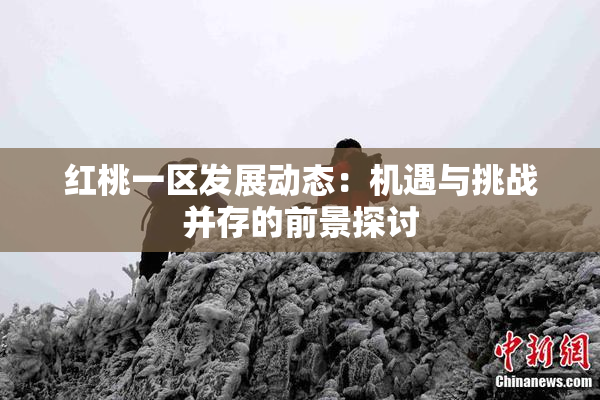 红桃一区发展动态：机遇与挑战并存的前景探讨