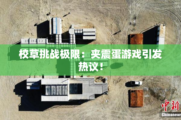 校草挑战极限：夹震蛋游戏引发热议！