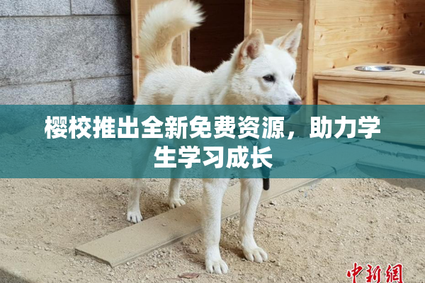 樱校推出全新免费资源，助力学生学习成长
