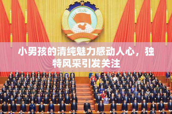 小男孩的清纯魅力感动人心，独特风采引发关注
