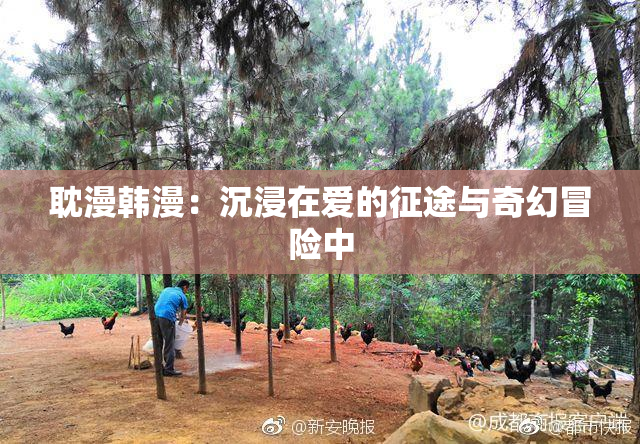 耽漫韩漫：沉浸在爱的征途与奇幻冒险中