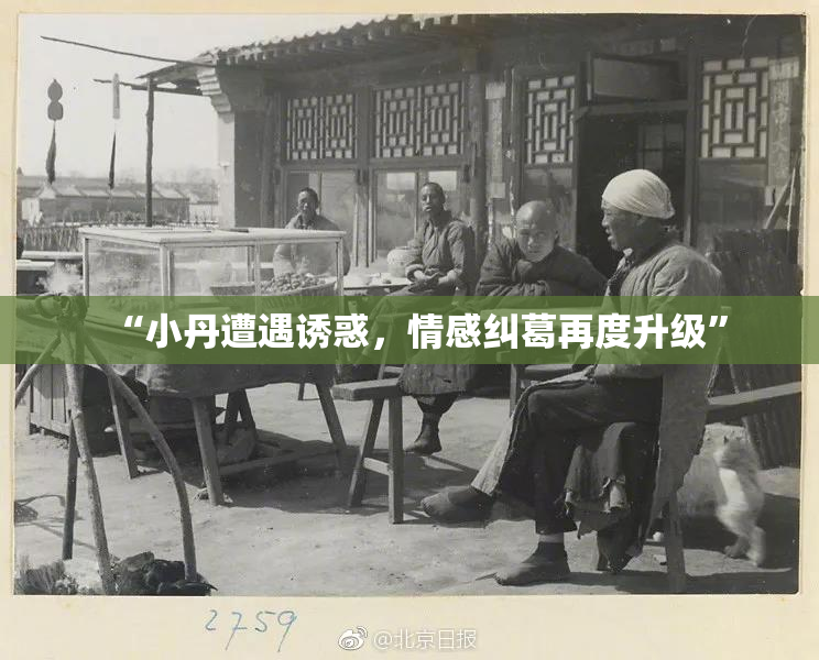 “小丹遭遇诱惑，情感纠葛再度升级”