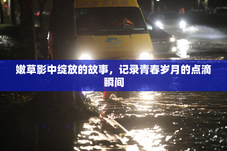 嫩草影中绽放的故事，记录青春岁月的点滴瞬间