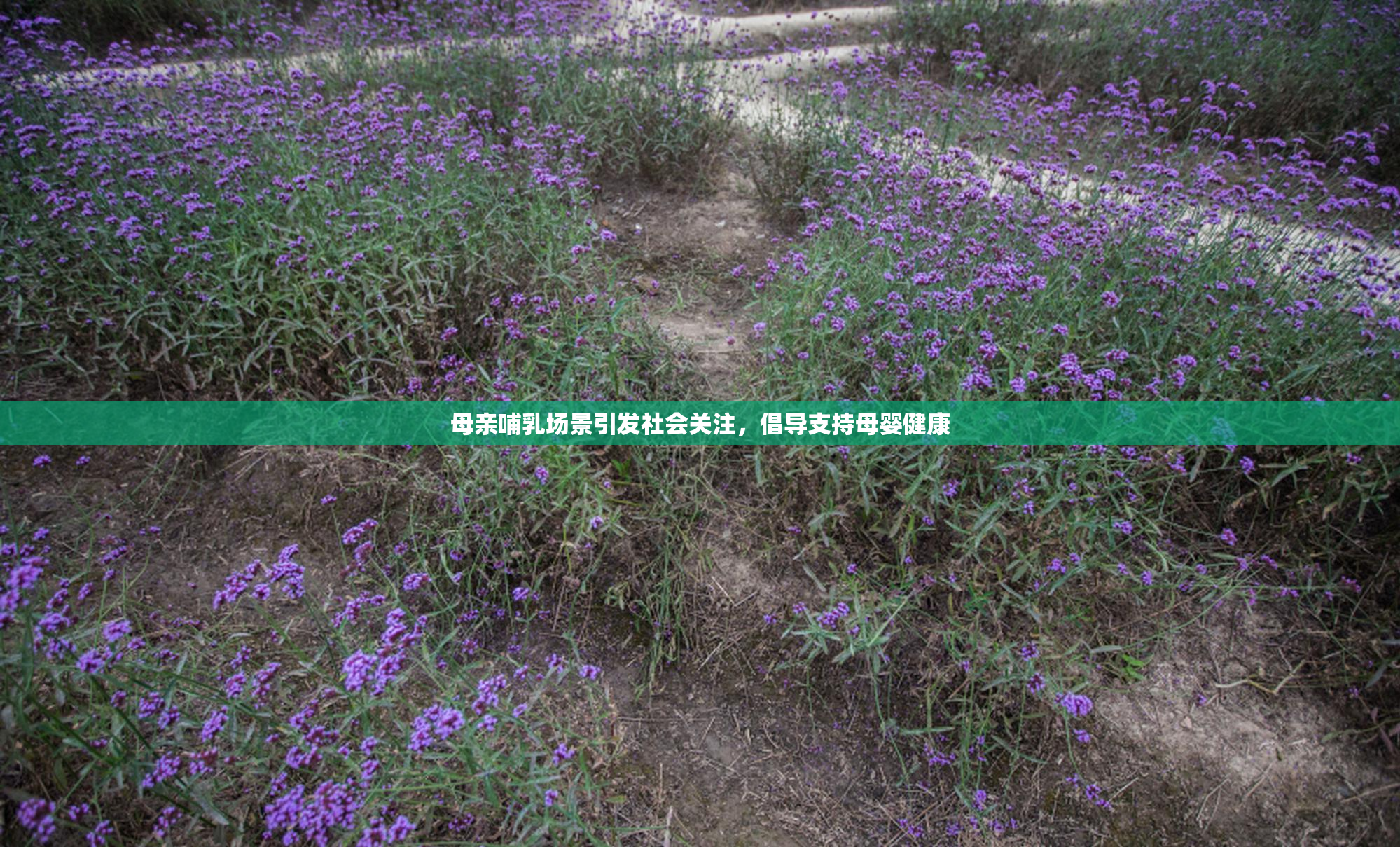 母亲哺乳场景引发社会关注，倡导支持母婴健康