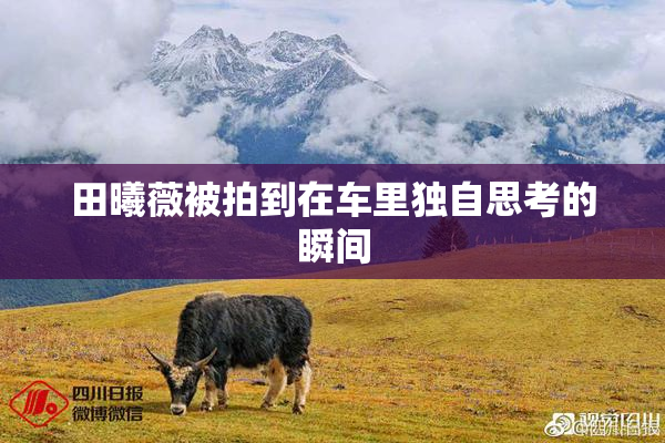 田曦薇被拍到在车里独自思考的瞬间