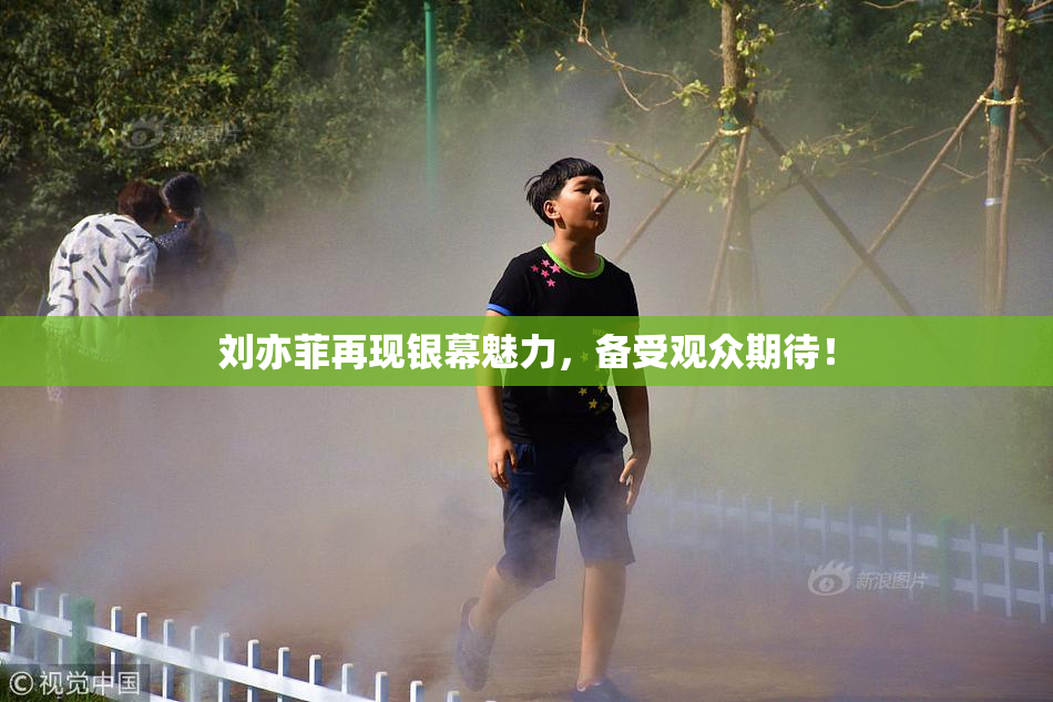 刘亦菲再现银幕魅力，备受观众期待！