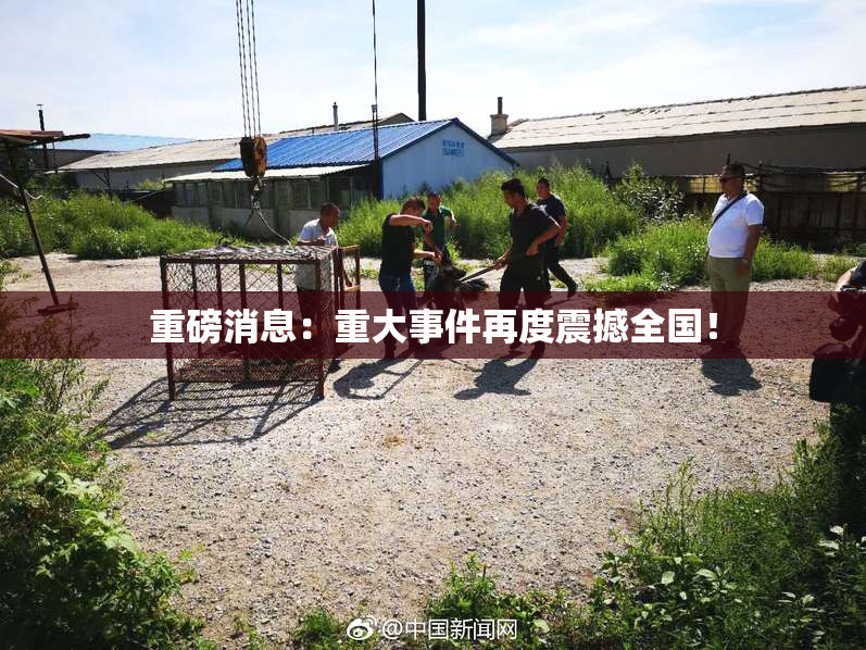 重磅消息：重大事件再度震撼全国！