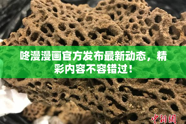 咚漫漫画官方发布最新动态，精彩内容不容错过！