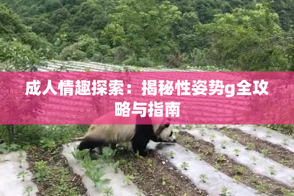 成人情趣探索：揭秘性姿势g全攻略与指南
