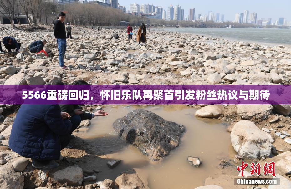 5566重磅回归，怀旧乐队再聚首引发粉丝热议与期待