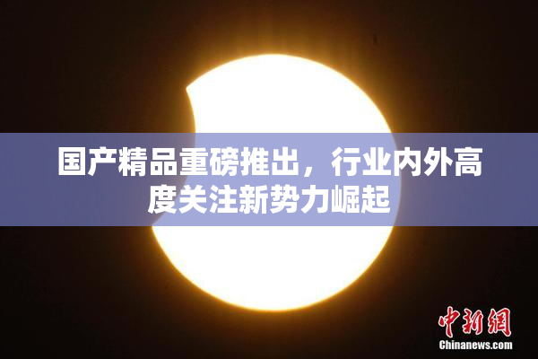 国产精品重磅推出，行业内外高度关注新势力崛起