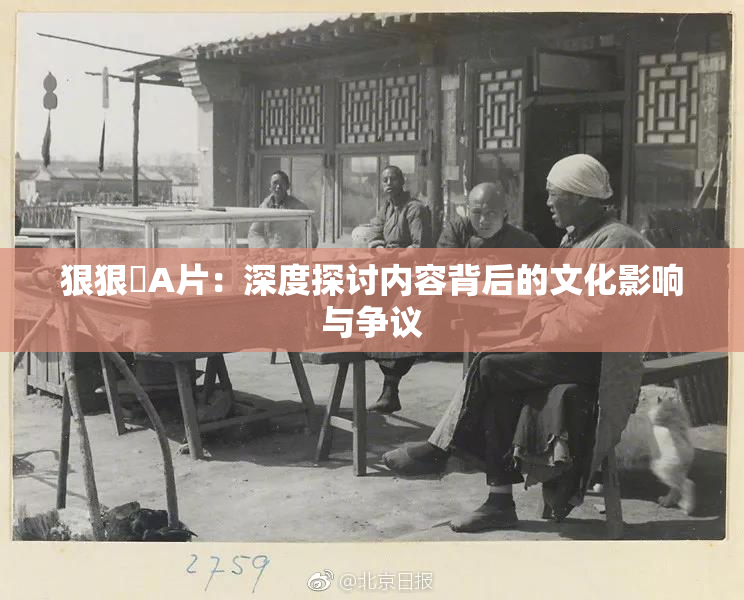 狠狠穞A片：深度探讨内容背后的文化影响与争议