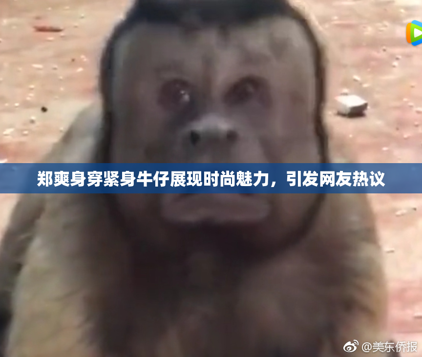 郑爽身穿紧身牛仔展现时尚魅力，引发网友热议
