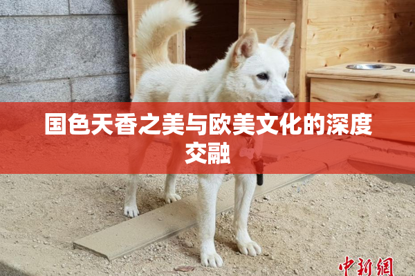 国色天香之美与欧美文化的深度交融