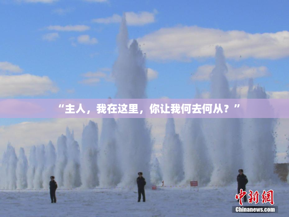 “主人，我在这里，你让我何去何从？”