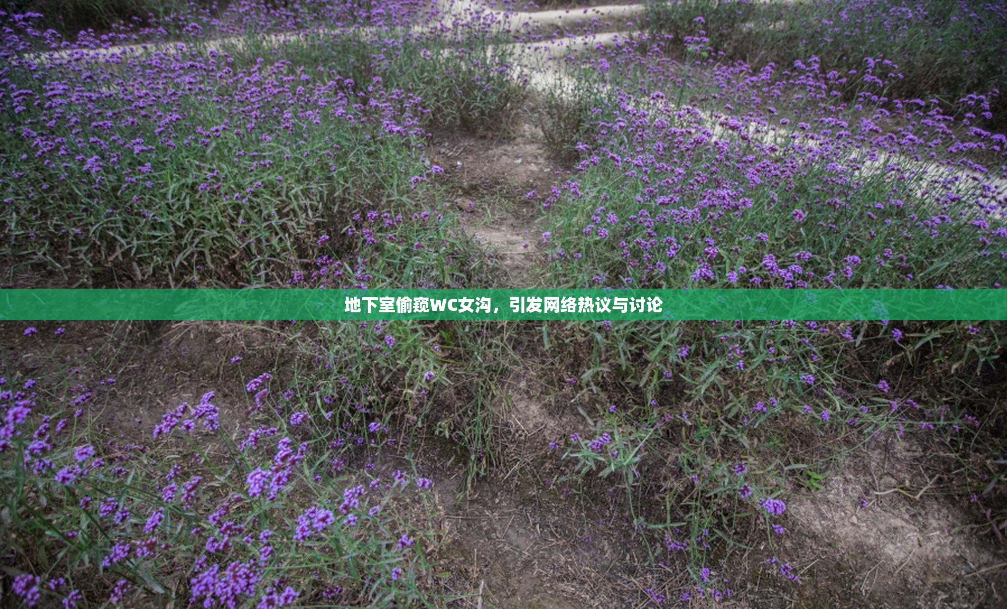 地下室偷窥WC女沟，引发网络热议与讨论