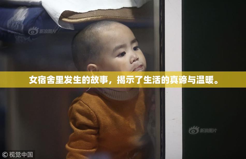 女宿舍里发生的故事，揭示了生活的真谛与温暖。