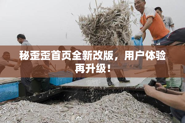 秘歪歪首页全新改版，用户体验再升级！
