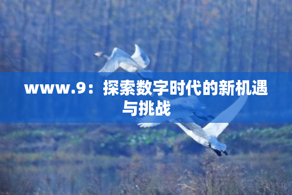 www.9：探索数字时代的新机遇与挑战