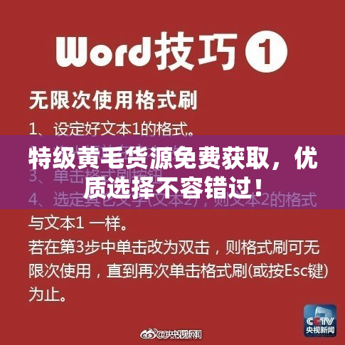 特级黄毛货源免费获取，优质选择不容错过！