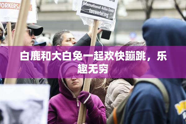 白鹿和大白兔一起欢快蹦跳，乐趣无穷