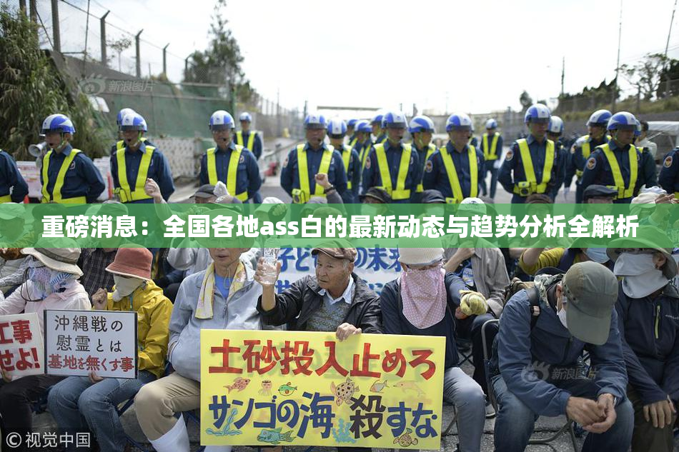 重磅消息：全国各地ass白的最新动态与趋势分析全解析