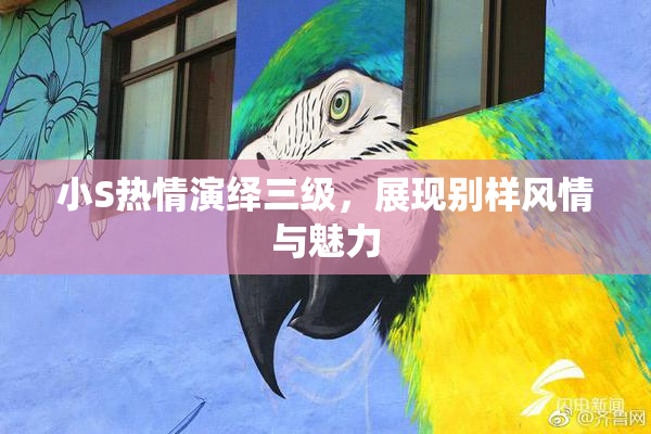 小S热情演绎三级，展现别样风情与魅力