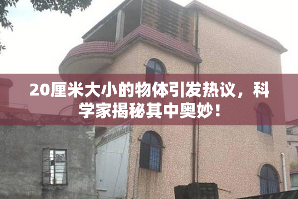 20厘米大小的物体引发热议，科学家揭秘其中奥妙！