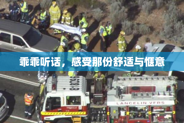 乖乖听话，感受那份舒适与惬意