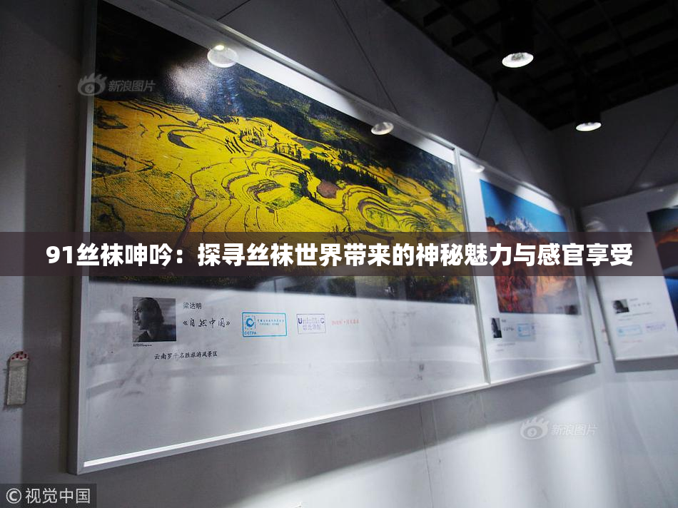 91丝袜呻吟：探寻丝袜世界带来的神秘魅力与感官享受