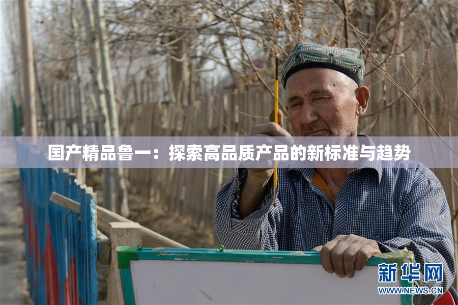 国产精品鲁一：探索高品质产品的新标准与趋势