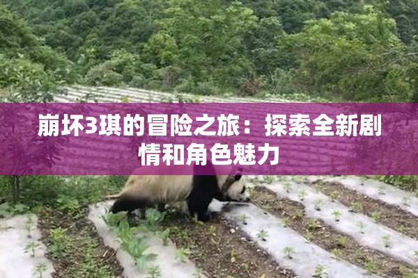 崩坏3琪的冒险之旅：探索全新剧情和角色魅力
