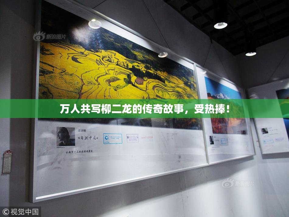 万人共写柳二龙的传奇故事，受热捧！