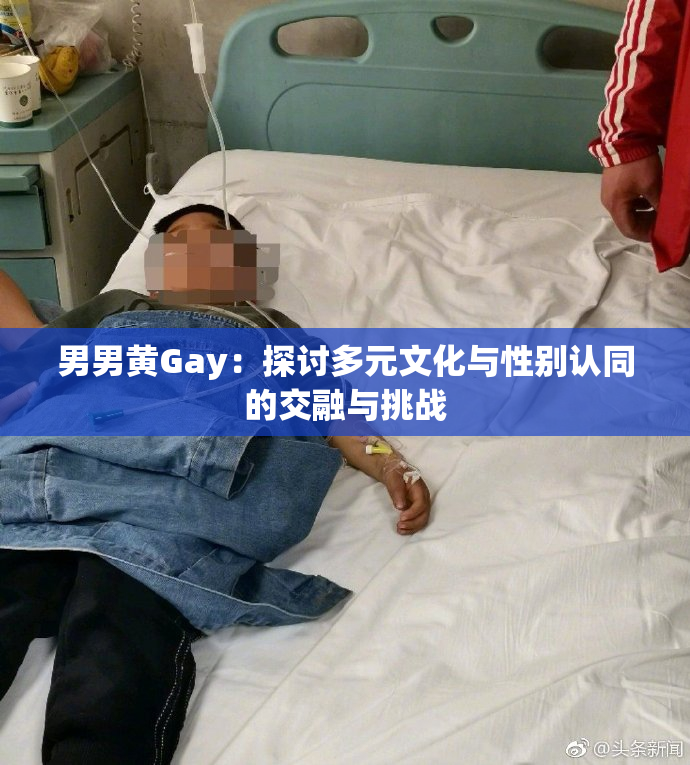 男男黄Gay：探讨多元文化与性别认同的交融与挑战