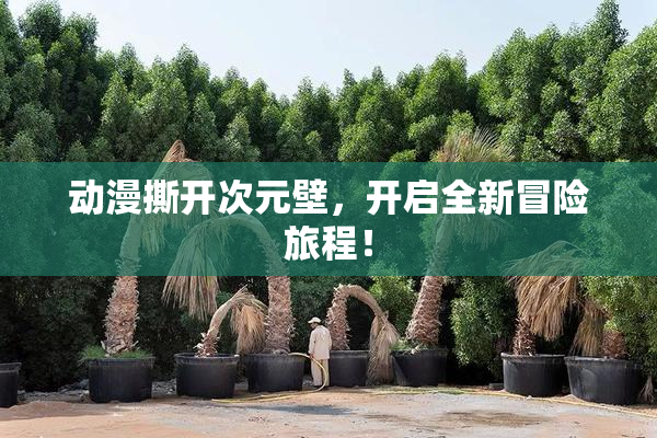 动漫撕开次元壁，开启全新冒险旅程！