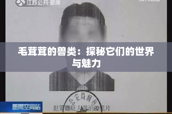 毛茸茸的兽类：探秘它们的世界与魅力