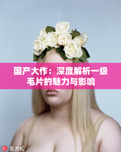 国产大作：深度解析一级毛片的魅力与影响