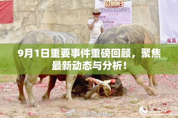 9月1日重要事件重磅回顾，聚焦最新动态与分析！