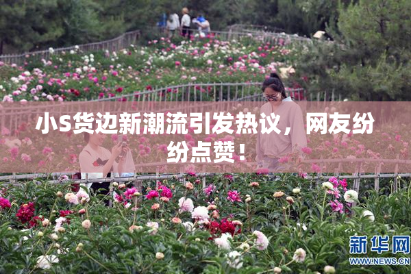 小S货边新潮流引发热议，网友纷纷点赞！