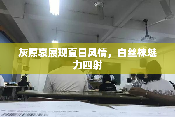 灰原哀展现夏日风情，白丝袜魅力四射