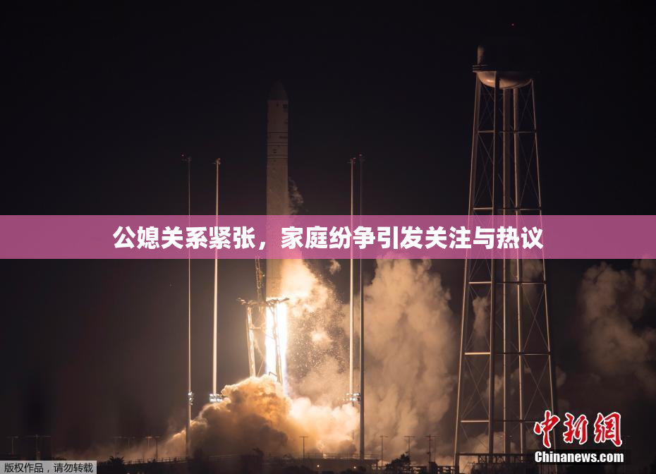 公媳关系紧张，家庭纷争引发关注与热议