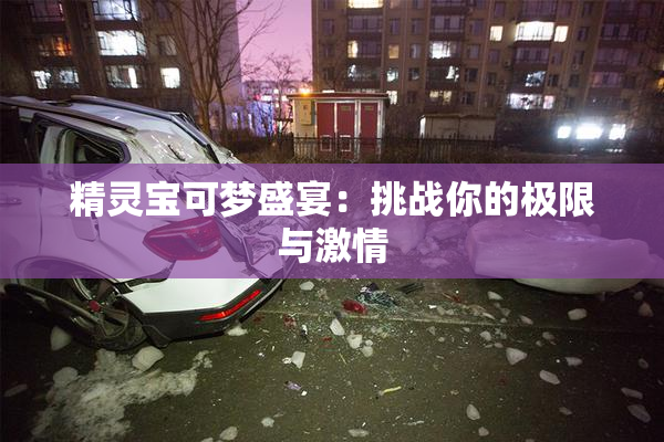 精灵宝可梦盛宴：挑战你的极限与激情