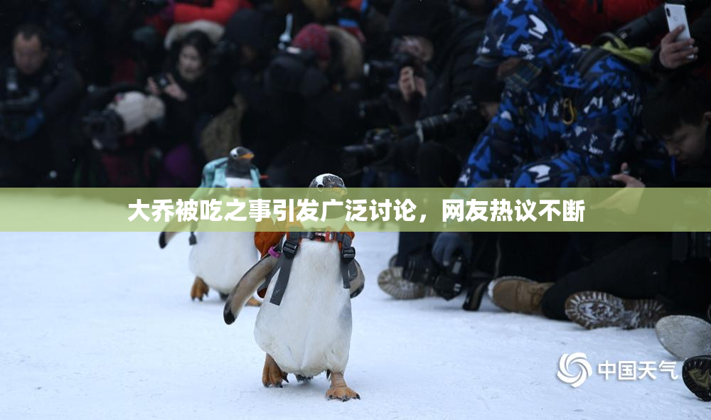 大乔被吃之事引发广泛讨论，网友热议不断