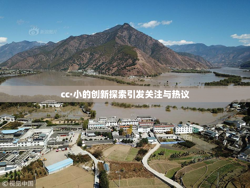 cc·小的创新探索引发关注与热议