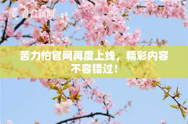苦力怕官网再度上线，精彩内容不容错过！