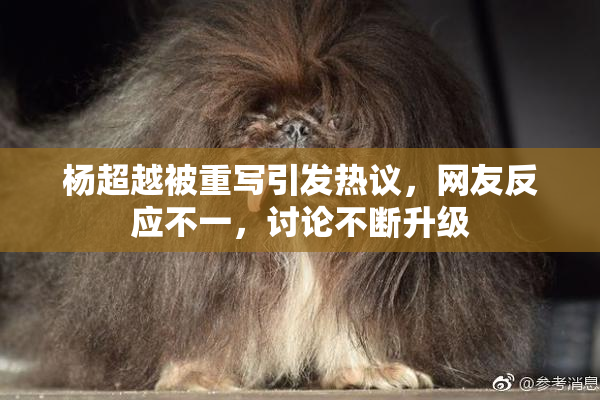 杨超越被重写引发热议，网友反应不一，讨论不断升级