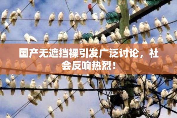 国产无遮挡裸引发广泛讨论，社会反响热烈！