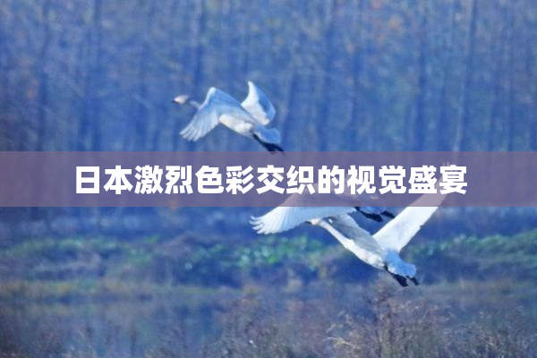 日本激烈色彩交织的视觉盛宴