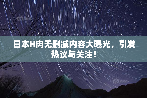日本H肉无删减内容大曝光，引发热议与关注！